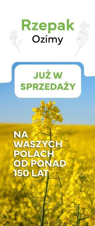 Oferta sprzedarzy rzepaku ozimego 